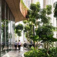 BIOFILIA NELL’ARCHITETTURA, L’APPROCCIO UTILE AL BENESSERE E ALLA SOSTENIBILITA’